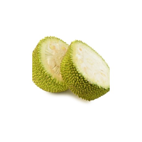 Jackfruit TPA