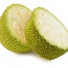 Jackfruit TPA