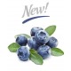 blueberry Extra - cap-