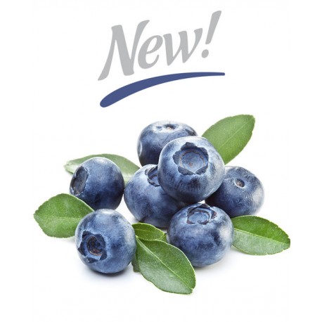 blueberry Extra - cap-