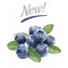 blueberry Extra - cap-