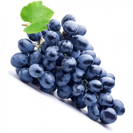 FA - Concord Grape - Fa