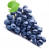 FA - Concord Grape - Fa