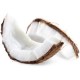 FA - Coconut