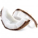 FA - Coconut