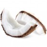 FA - Coconut