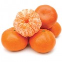 FA - Mandarin