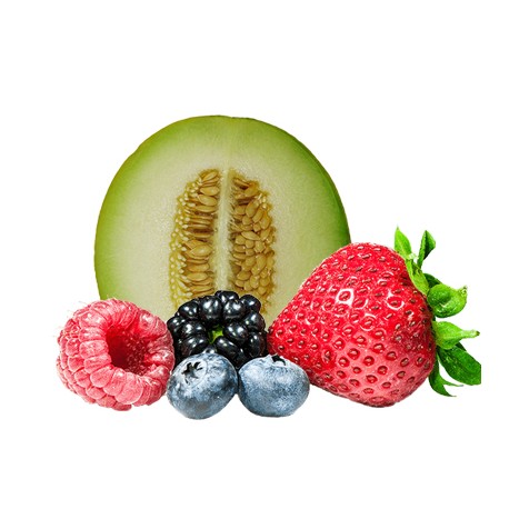 TPA - Spurberry