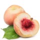 FA - White Peach